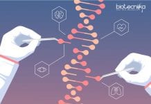 IISER TVM Genome-Editing Project Job – Biological Sciences Apply IISER TVM Biological Science Post - Genome-Editing Project Job