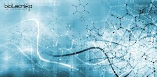 IISER TVM PhD Jobs