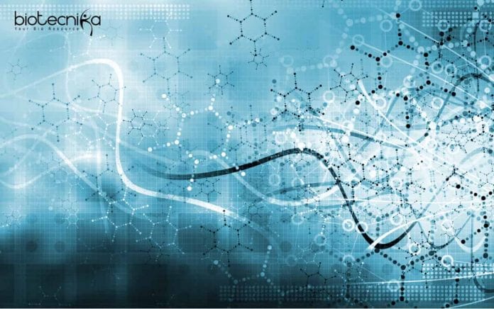 IISER TVM PhD Jobs
