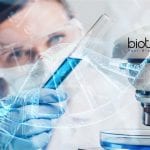 IISER Tirupati Life Science & Biotech Research Fellow Job Opening IISER Tirupati Life Science