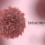 IIT Kanpur Cancer Project Recruitment – MSc/MTech/PhD Apply IIT Kanpur Genetics Jobs