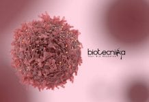 IIT Kanpur Cancer Project Recruitment – MSc/MTech/PhD Apply IIT Kanpur Genetics Jobs