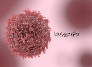 IIT Kanpur Genetics Jobs