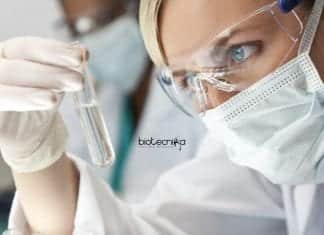 IIT Roorkee Biotech JRF