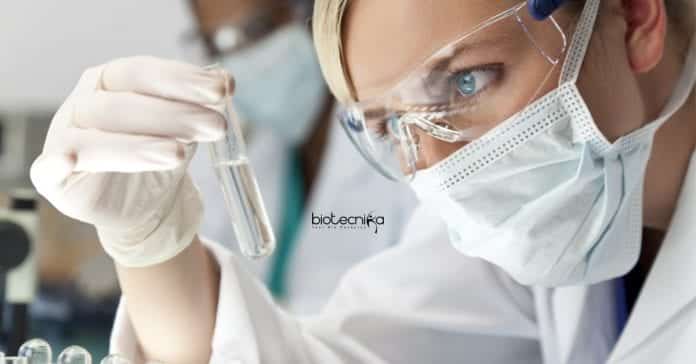 IIT Roorkee Biotech JRF