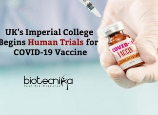 COVID-19 Vaccine By UK’s Imperial College Enters Human Trials Imperial College COVID-19 Vaccine