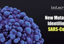 New Mutation Identified In SARS-CoV-2 Increases Its Ability To Infect Cells Mutation In Coronavirus
