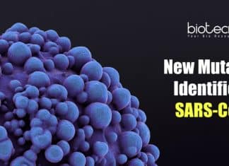 Mutation In Coronavirus