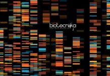 JNU Genomic Resources & Sequencing Project Vacancy 2020 JNU JRF Jobs Latest