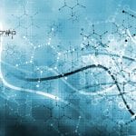 JNU Gene Regulation Research Fellow Job For MSc Candidates JNU Latest Research Fellow