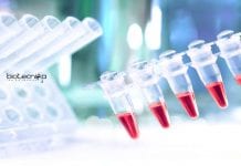 JNU CRISPR-Cas9 Mediated Gene Editing Project Recruitment JNU PhD Job Opening