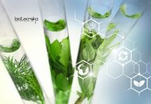 Kumaun University Botany Job – Junior Research Fellow Vacancy Kumaun University Botany Job