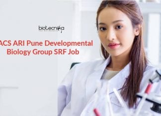 MACS ARI Pune Job