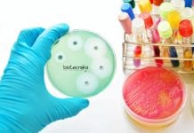 Mars Microbiology R&D Scientist Job Vacancy – MSc Apply Online Mars Microbiology R&D Scientist