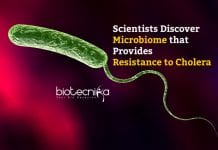 Scientists Discover Microbiome Providing Resistance To Cholera Microbiome Confers Resistance to Cholera