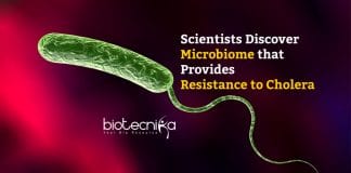 Microbiome Confers Resistance to Cholera 