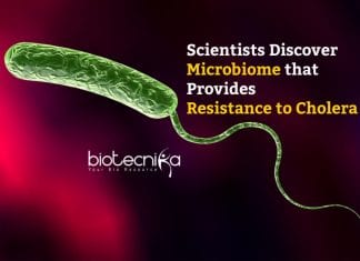 Scientists Discover Microbiome Providing Resistance To Cholera Microbiome Confers Resistance to Cholera