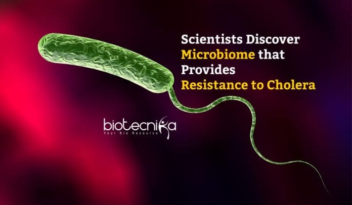 Microbiome Confers Resistance to Cholera 