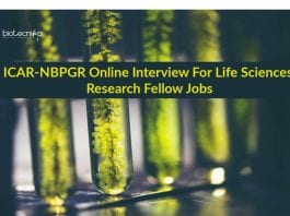 NBPGR Latest Research Jobs