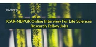 NBPGR Latest Research Jobs