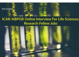 NBPGR Latest Research Jobs
