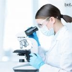 NBRC Latest Project Assistant Vacancy Available NBRC Latest Project Assistant