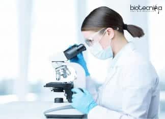 NBRC Latest Project Assistant