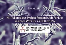 NII Tuberculosis Project Research