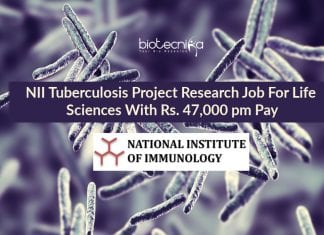 NII Tuberculosis Project Research