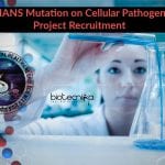 NIMHANS Biochemistry Project Job