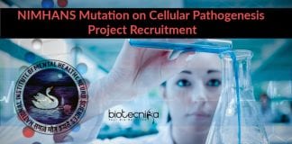 NIMHANS Biochemistry Project Job