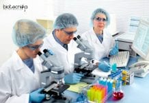 NIT Warangal Biotech / Life Sciences Job – MSc/MTech/BTech Apply NIT Warangal Latest Job