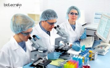 NIT Warangal Biotech / Life Sciences Job – MSc/MTech/BTech Apply NIT Warangal Latest Job