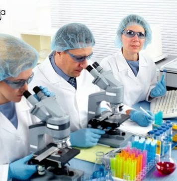 NIT Warangal Latest Job