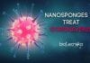 Nanosponges to treat coronavirus infection