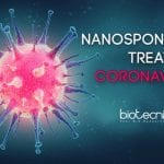 Nanosponges to treat coronavirus infection
