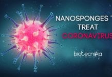 Nanosponges to treat coronavirus infection