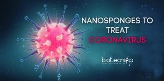 Nanosponges to treat coronavirus infection