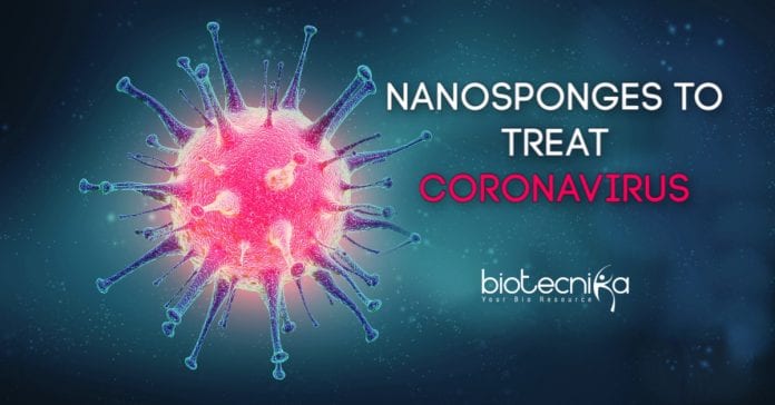 Nanosponges to treat coronavirus infection