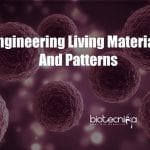 New technique for engineering living materials