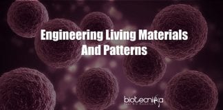 New technique for engineering living materials