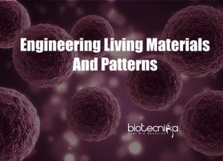 New technique for engineering living materials