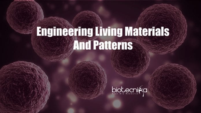 New technique for engineering living materials