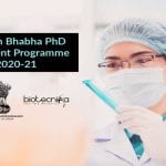 Newton-Bhabha PhD Placement Programme