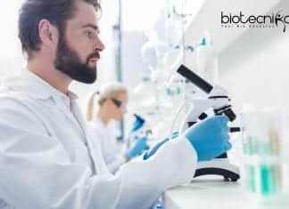 Novartis In Vitro Life Science Job Opening – MSc & PhD Apply Novartis Job Opening Latest