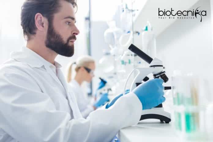 Novartis Job Opening Latest