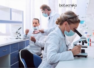 Novo Nordisk MSc & PhD Life Science Associate Job Opening Novo Nordisk MSc