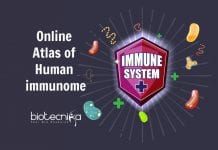 Online Atlas of Human Immunome To Study Mechanisms Of Immunity Online Atlas of Human Immunome