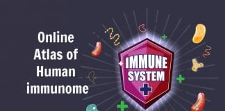 Online Atlas of Human Immunome