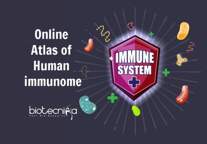 Online Atlas of Human Immunome
